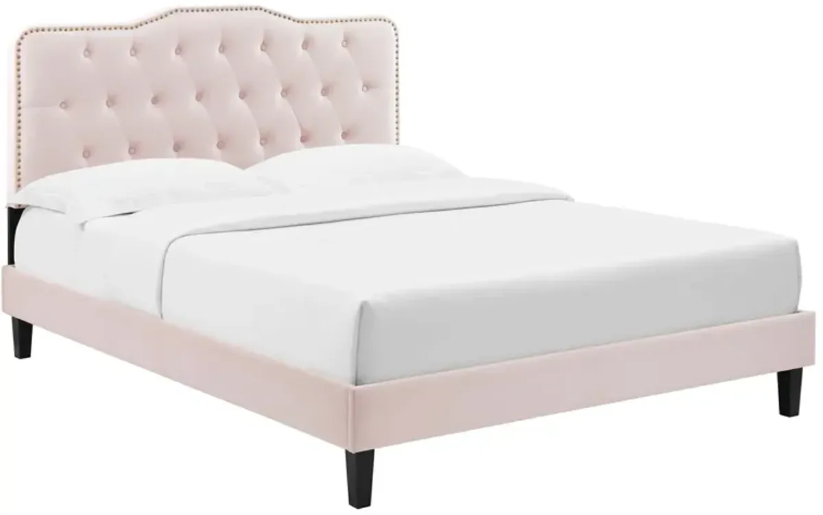 Amber Performance Velvet Platform Bed With Black Wood Legs by Modway Twin / Pink