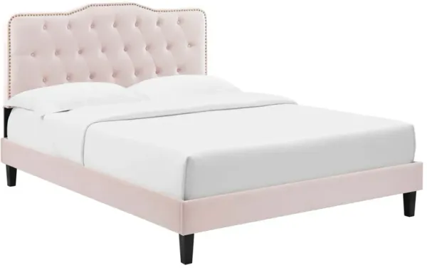 Amber Performance Velvet Platform Bed With Black Wood Legs by Modway Full / Pink