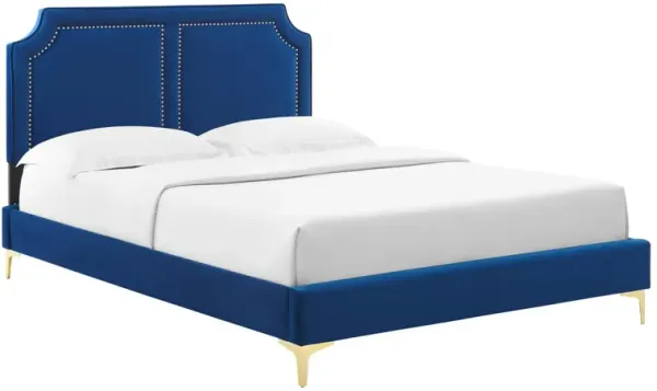 Novi Performance Velvet Bed by Modway Navy / Twin
