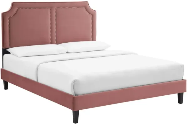 Novi Performance Velvet Bed With Black Wood Legs by Modway Twin / Dusty Rose
