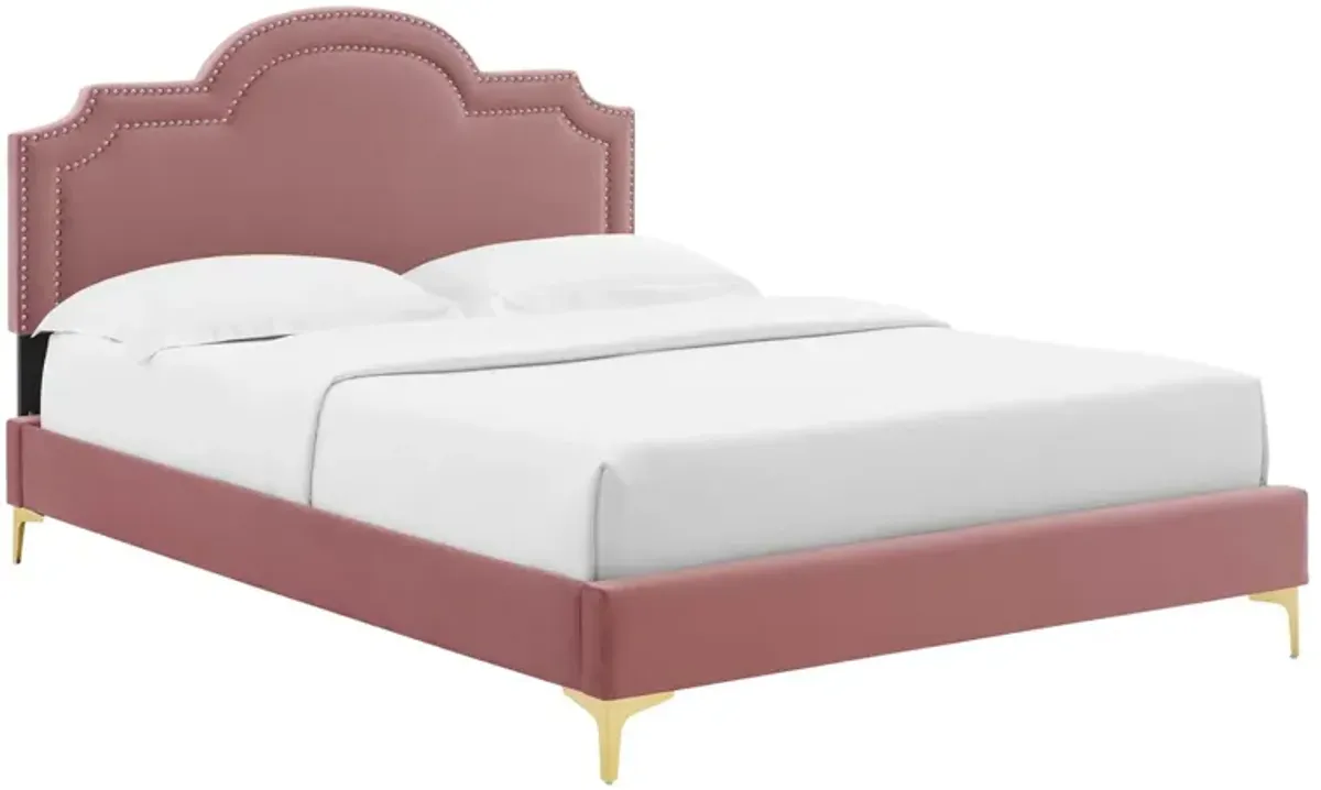 Aviana Performance Velvet Bed With Gold Legs by Modway Dusty Rose / King