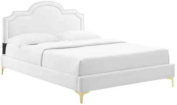 Aviana Performance Velvet Bed With Gold Legs by Modway King / White
