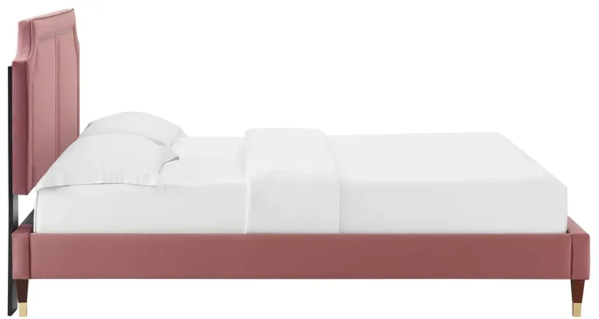 Novi Performance Velvet Bed With Wood and Gold Legs by Modway