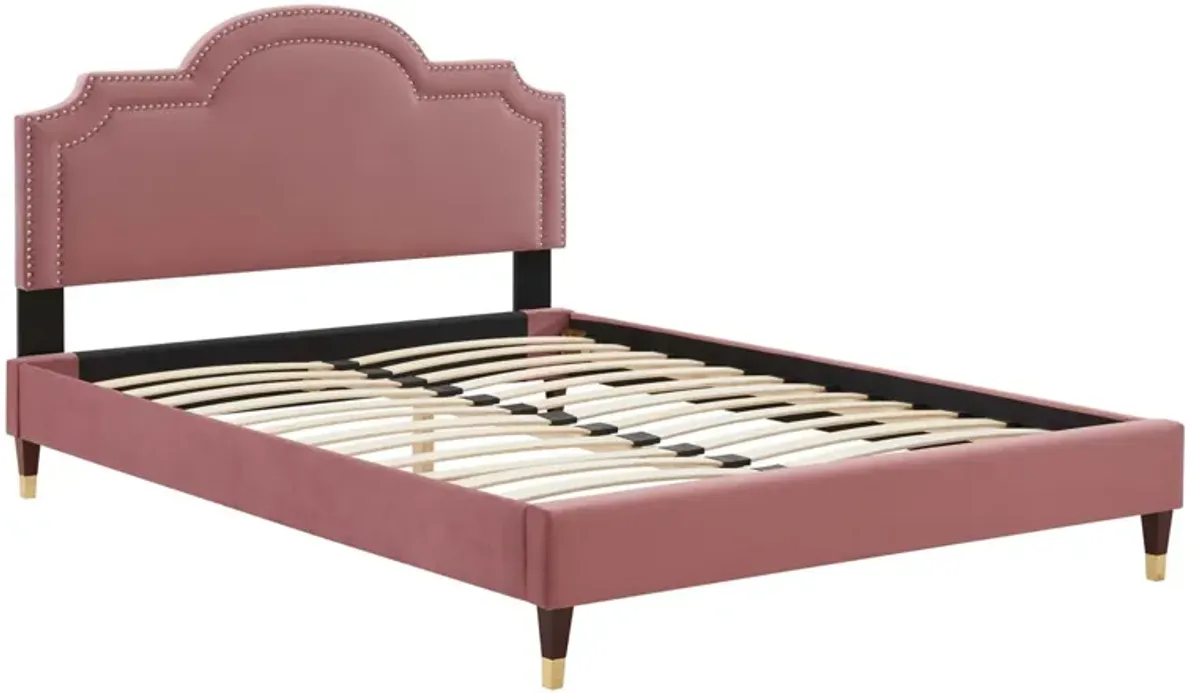 Aviana Performance Velvet Bed With Wood and Gold Legs by Modway