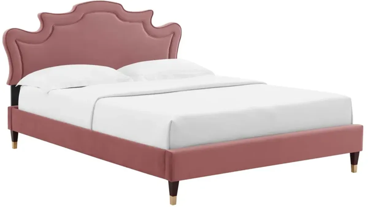 Neena Performance Velvet Bed With Wood and Gold Legs by Modway King / Dusty Rose