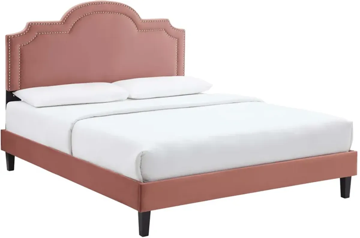 Aviana Performance Velvet Bed With Black Wood Legs by Modway King / Dusty Rose