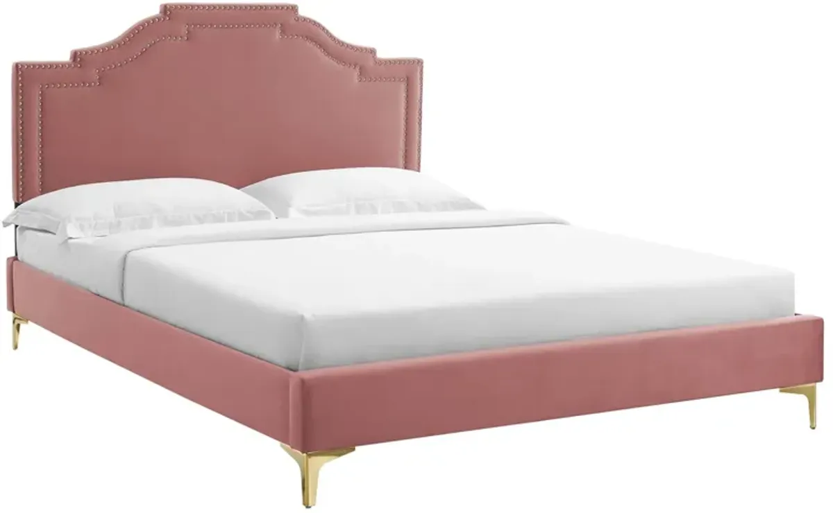 Adelaide Performance Velvet Platform Bed With Gold Metal Legs by Modway King / Dusty Rose