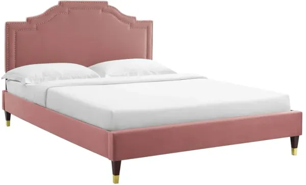 Adelaide Performance Velvet Platform Bed With Wood and Gold Metal Legs by Modway King / Dusty Rose