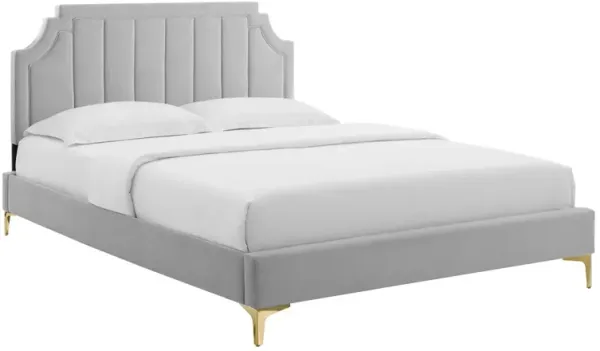 Sienna Performance Velvet Platform Bed With Gold Metal Legs by Modway Full / Light Gray