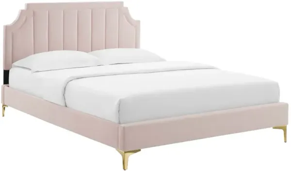 Sienna Performance Velvet Platform Bed With Gold Metal Legs by Modway Full / Pink