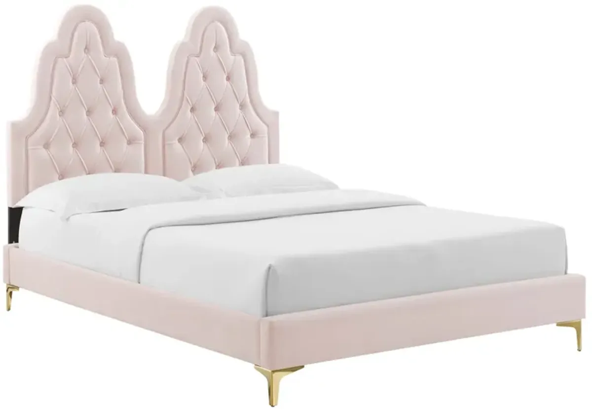 Alexandria Tufted Performance Velvet Platform Bed With Gold Legs by Modway Twin / Pink