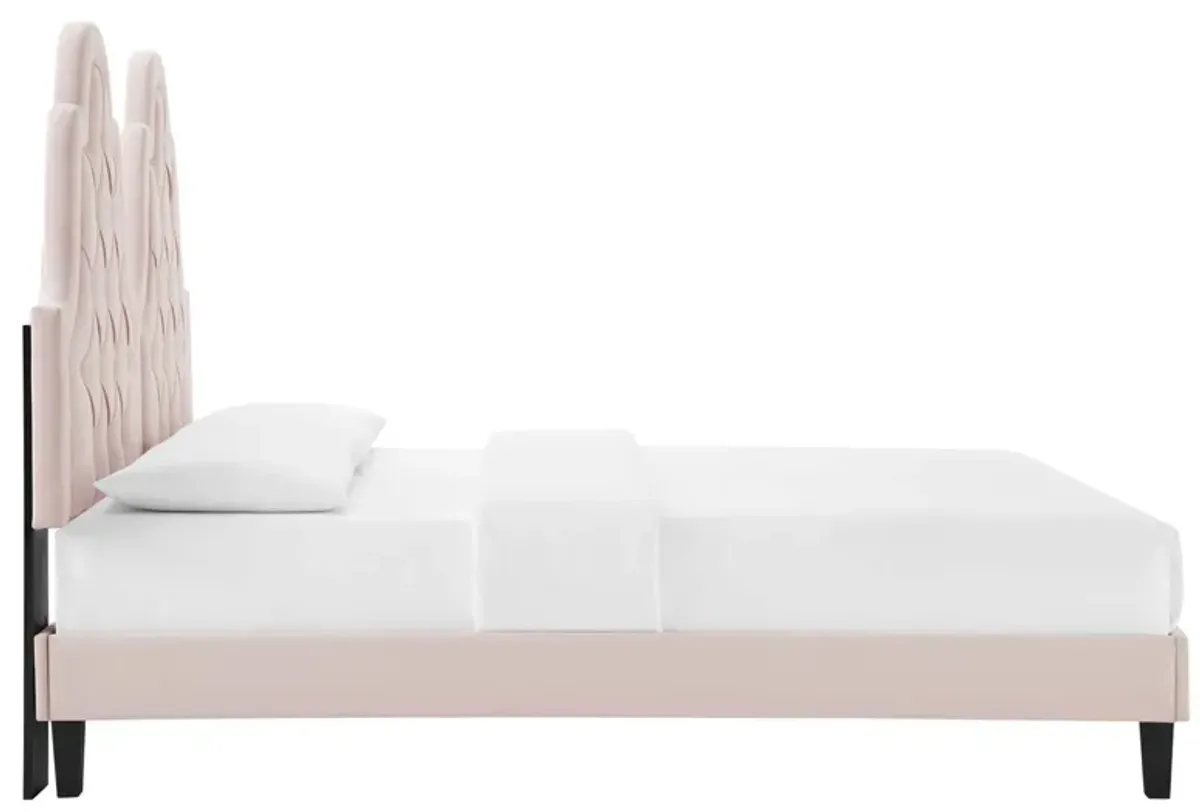 Alexandria Tufted Performance Velvet Platform Bed With Black Wood Legs by Modway