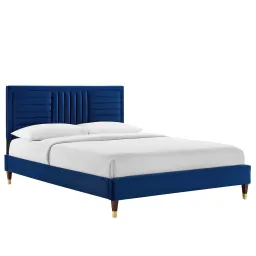 Navy color