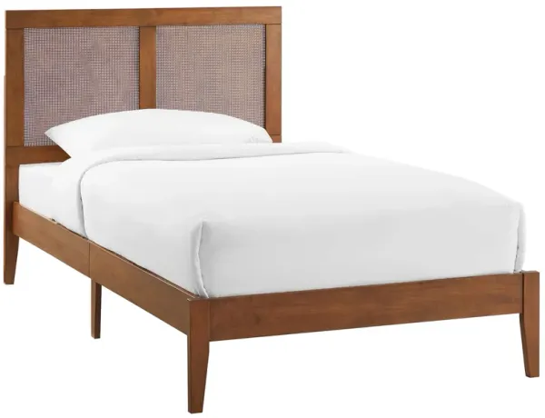 Sirocco Rattan and Wood Platform Bed Walnut / Twin