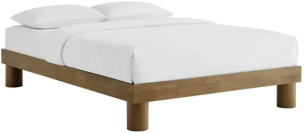 Runa Platform Bed by Modway King / French Oak