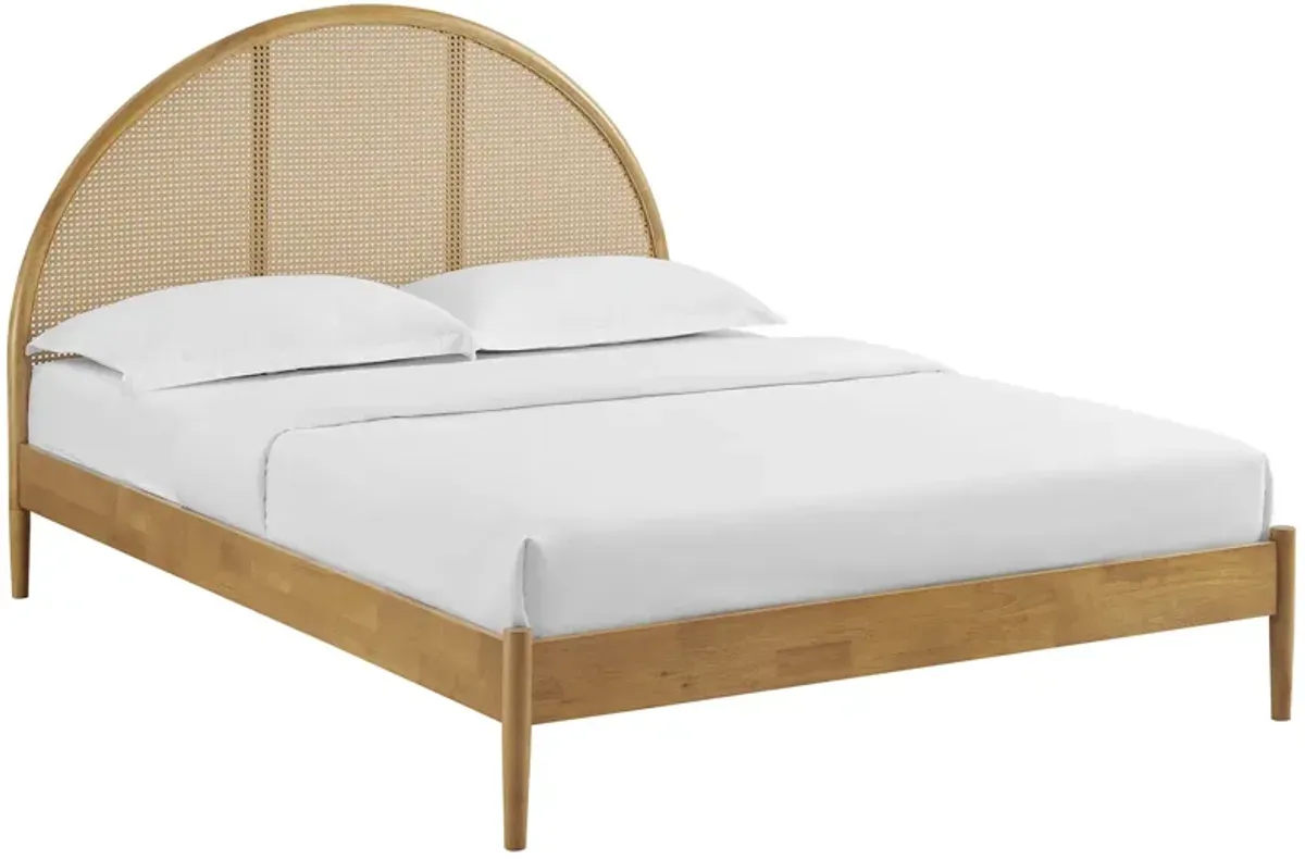 Odette Queen Arched Rattan Cane Platform Bed by Modway Oak