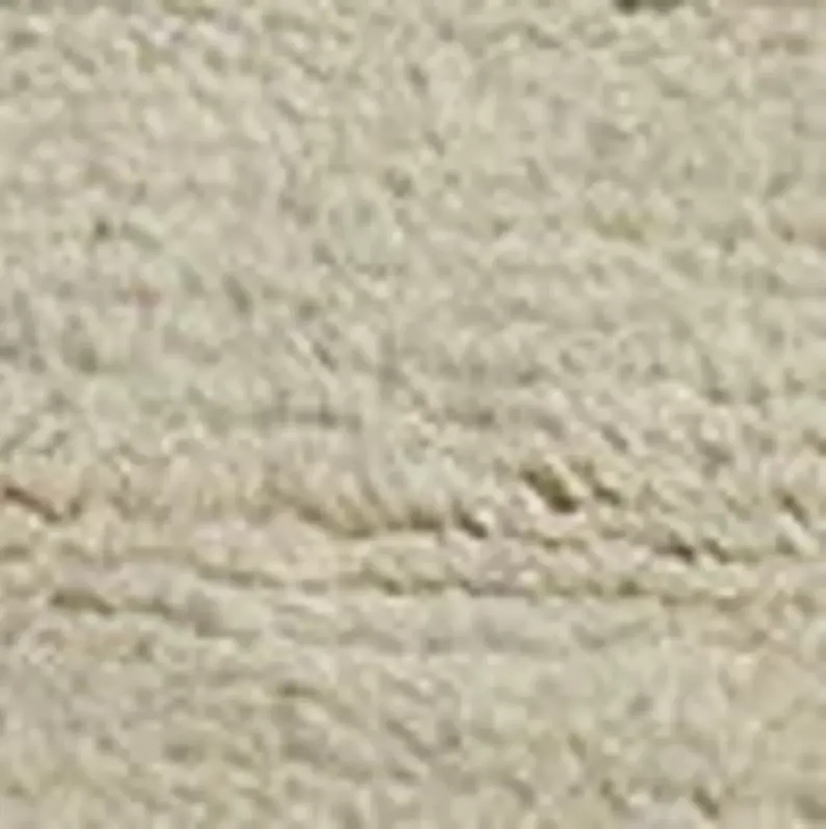 Irregular Grid Hand-Knotted Wool Rug by Sarah Sherman Samuel