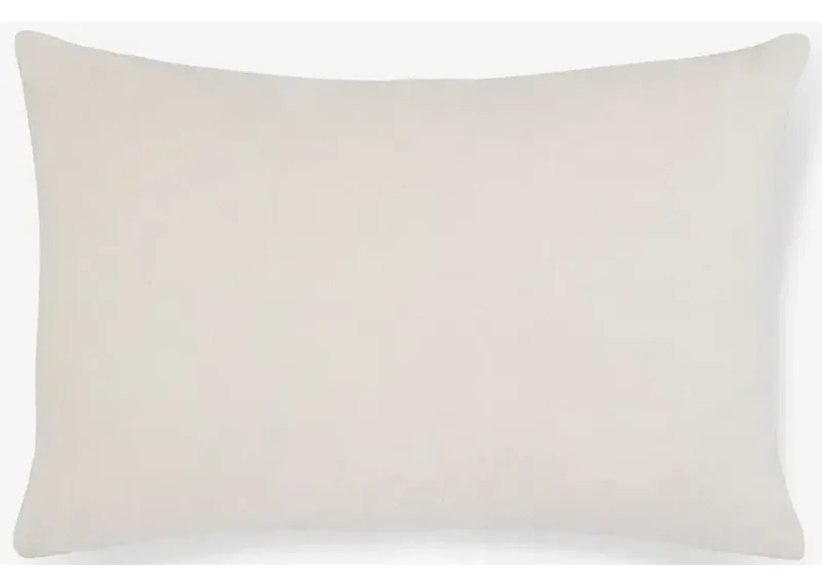 Charlotte Velvet Pillow