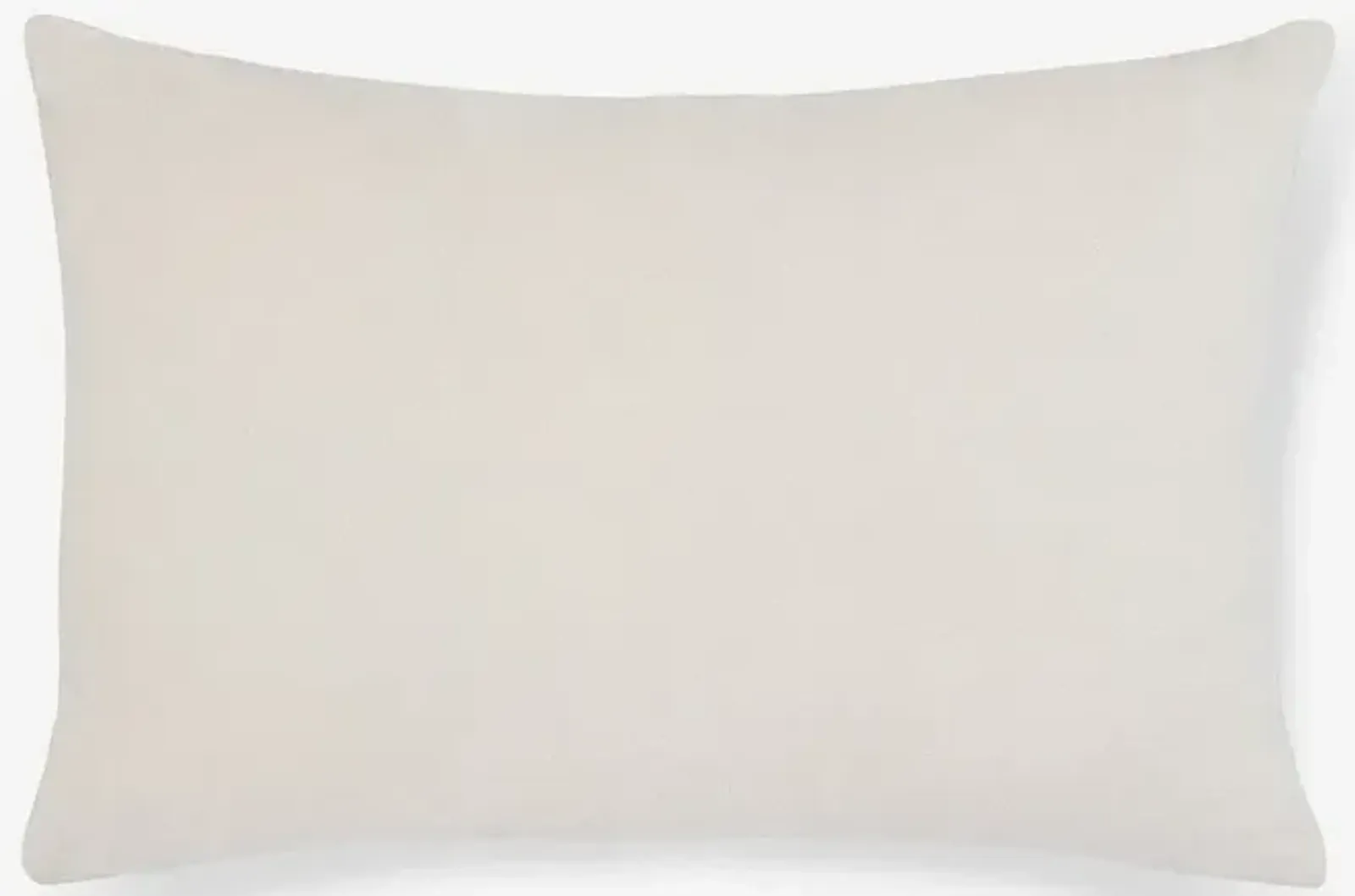 Charlotte Velvet Pillow