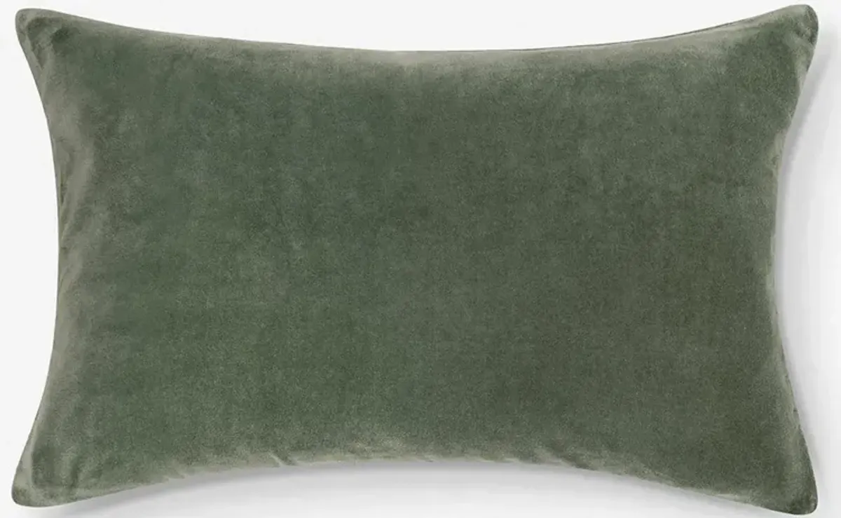 Charlotte Velvet Pillow