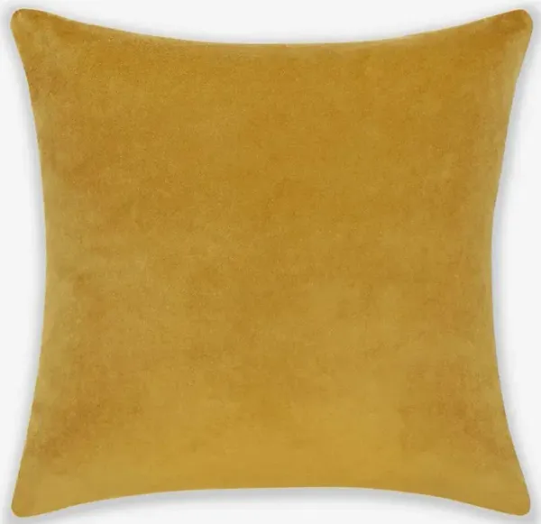 Charlotte Velvet Pillow