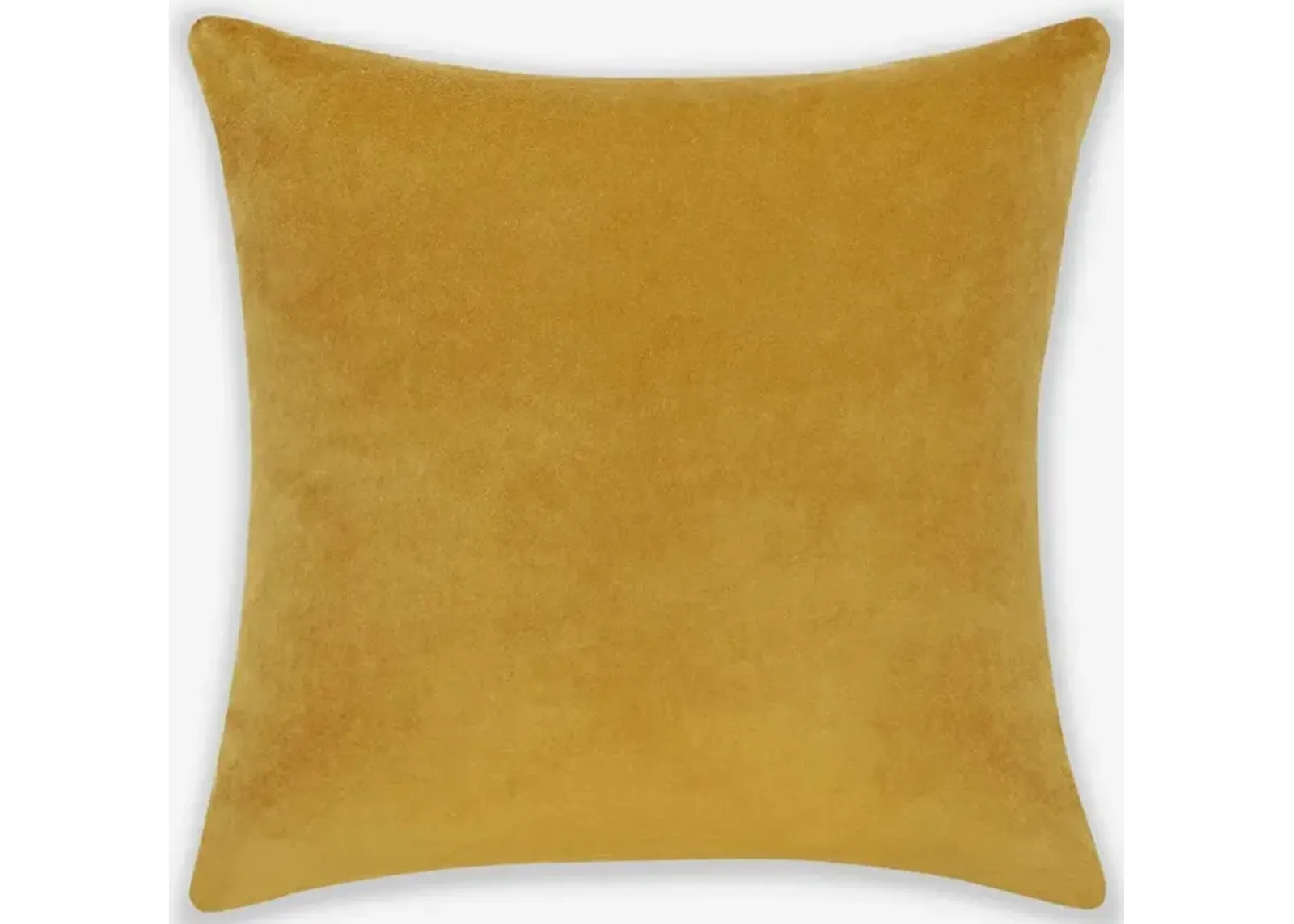 Charlotte Velvet Pillow