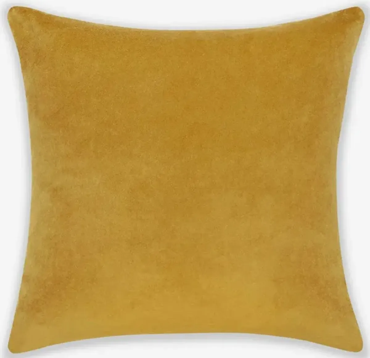 Charlotte Velvet Pillow