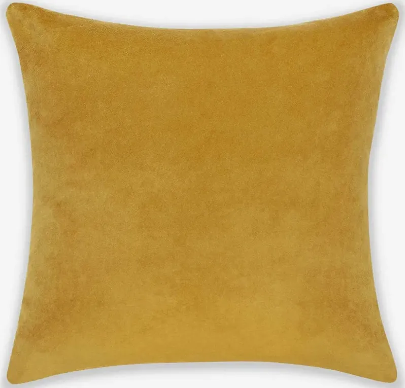 Charlotte Velvet Pillow