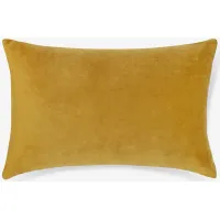 Charlotte Velvet Pillow