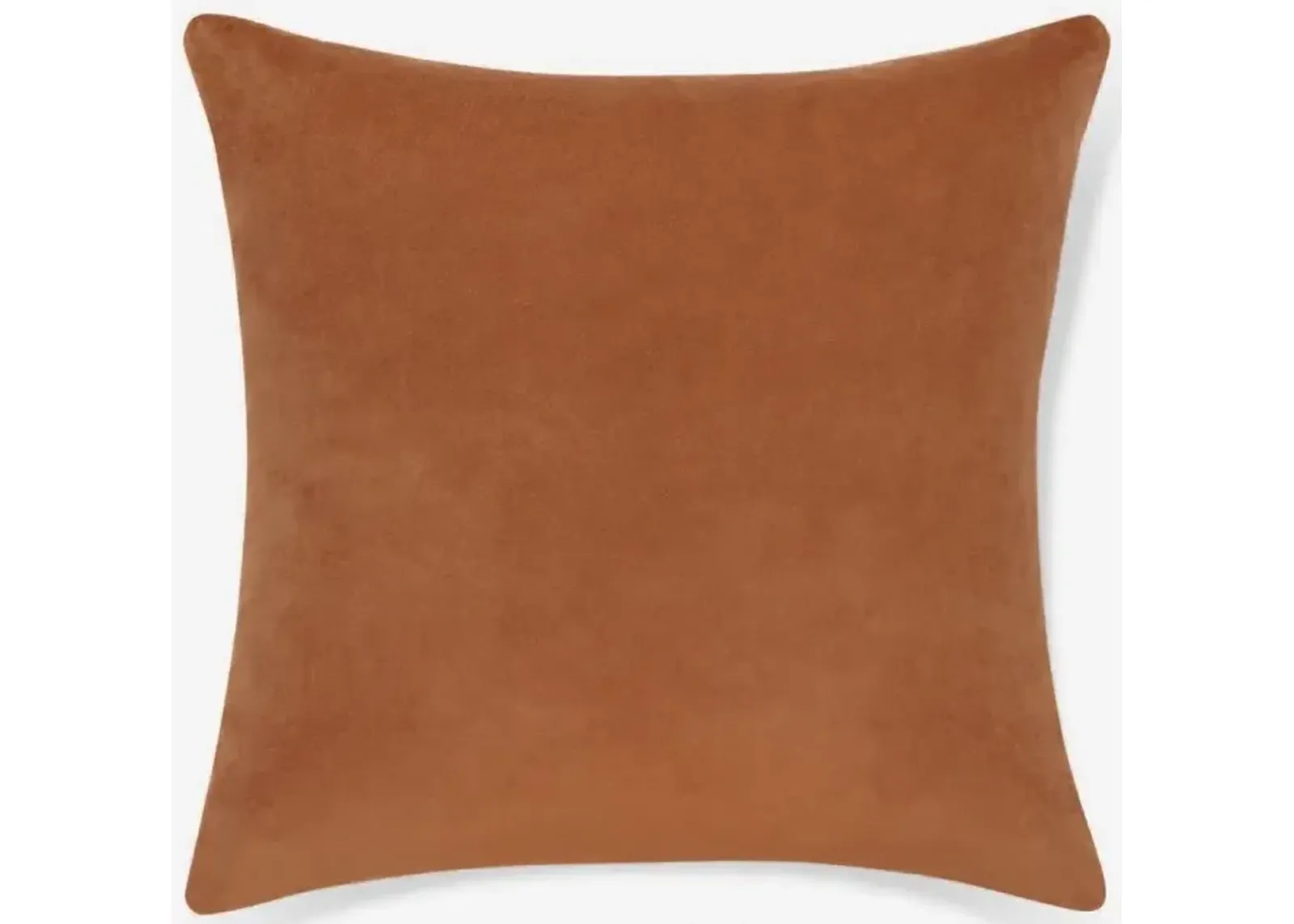 Charlotte Velvet Pillow