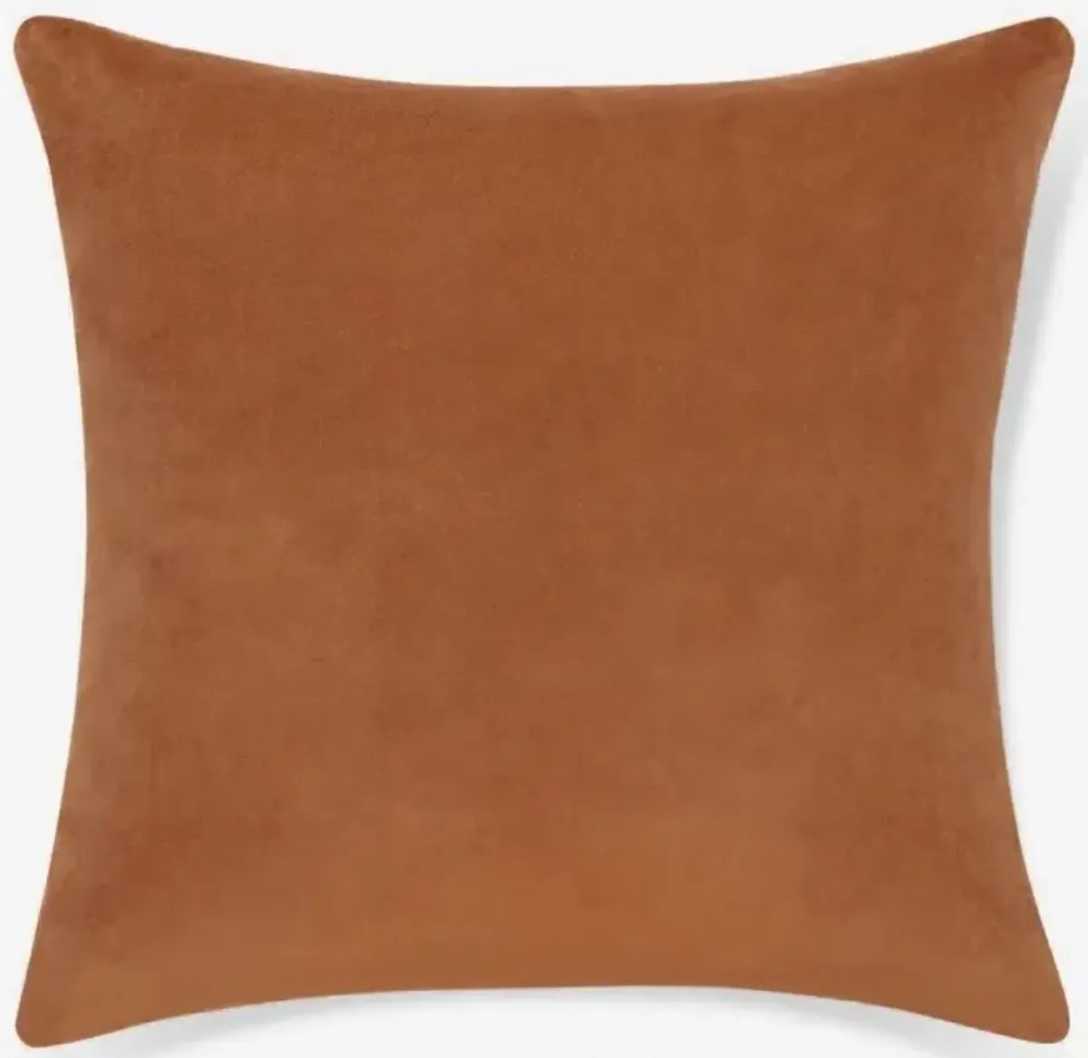 Charlotte Velvet Pillow