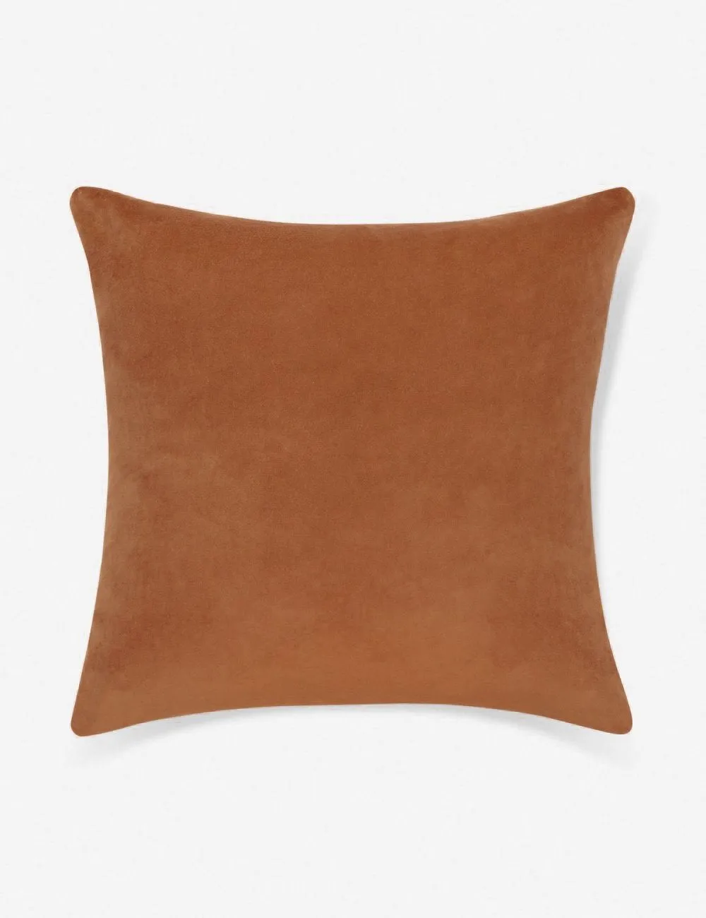 Charlotte Velvet Pillow