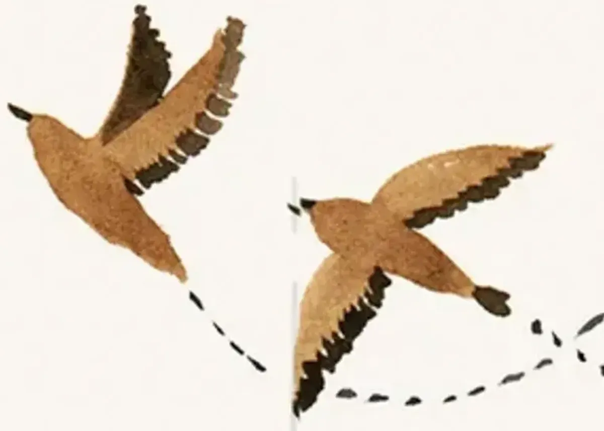 Sparrow Wallpaper by Rylee + Cru