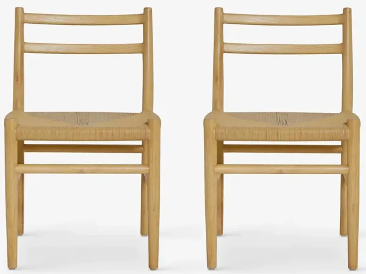 Nicholson Dining Chair (Set of 2)