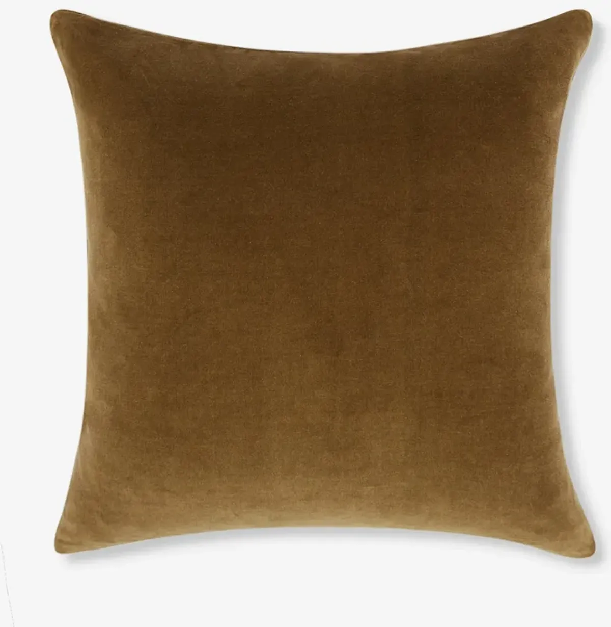 Charlotte Velvet Pillow