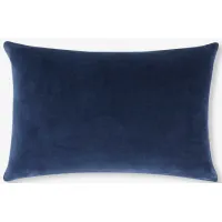 Charlotte Velvet Pillow