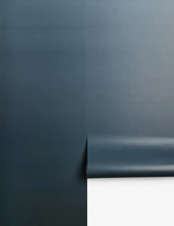 Meeting with the Sky Wallpaper Mural by James Perkins