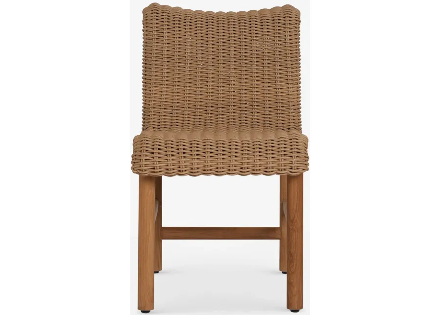 Gally Indoor / Outdoor Dining Chair