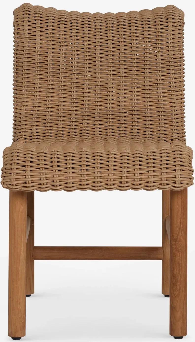 Gally Indoor / Outdoor Dining Chair