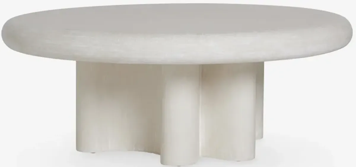 Ruiz Indoor / Outdoor Round Coffee Table