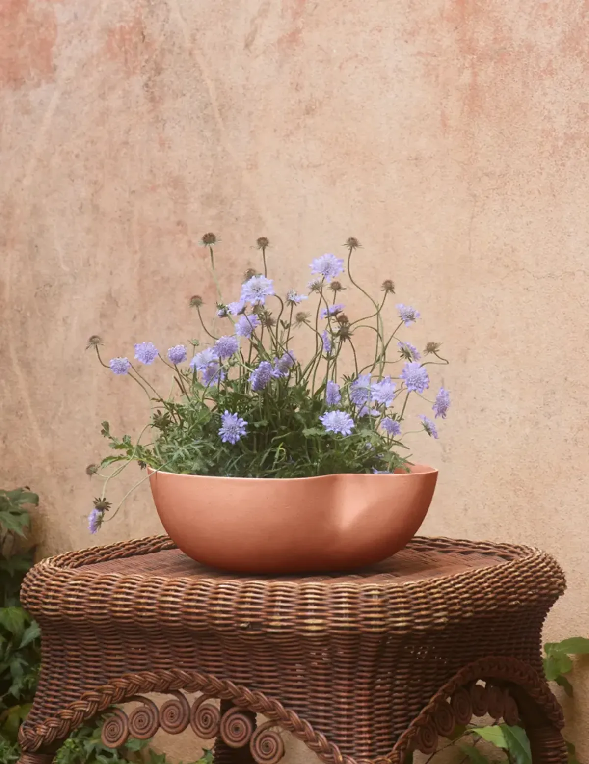 Dempsy Low Planter by Sarah Sherman Samuel