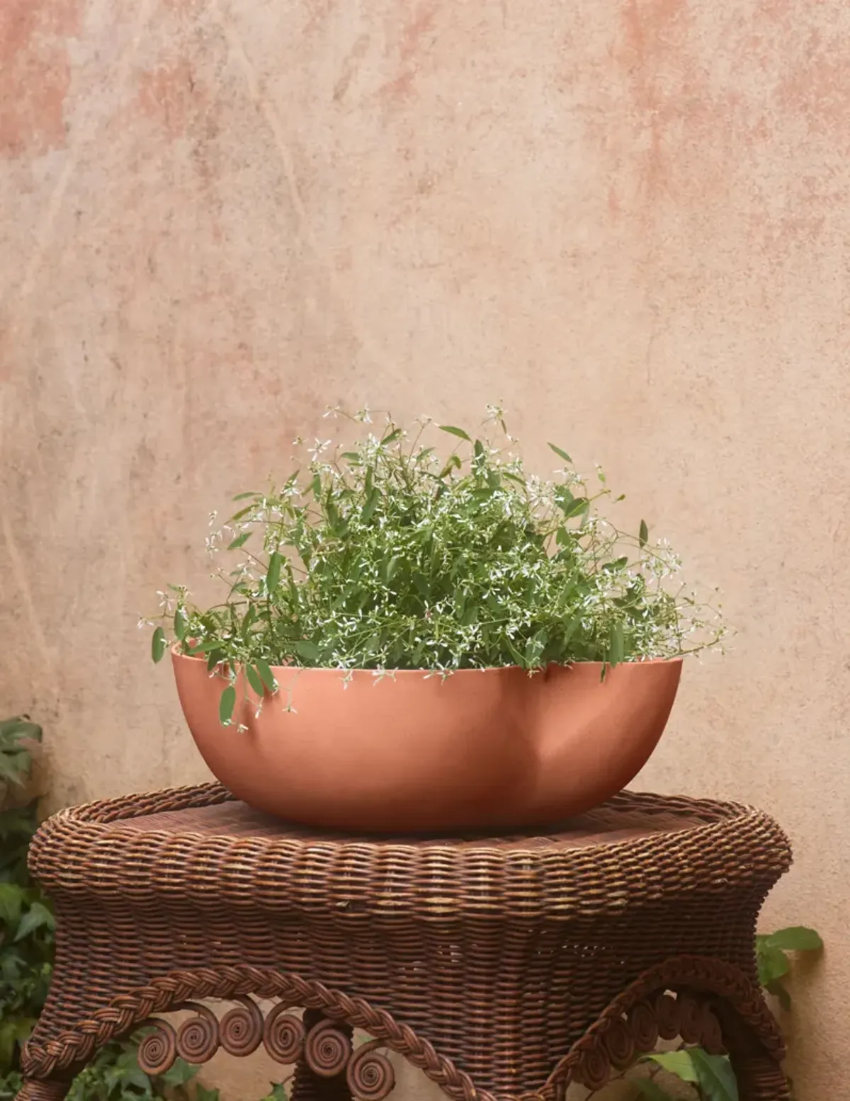 Dempsy Low Planter by Sarah Sherman Samuel