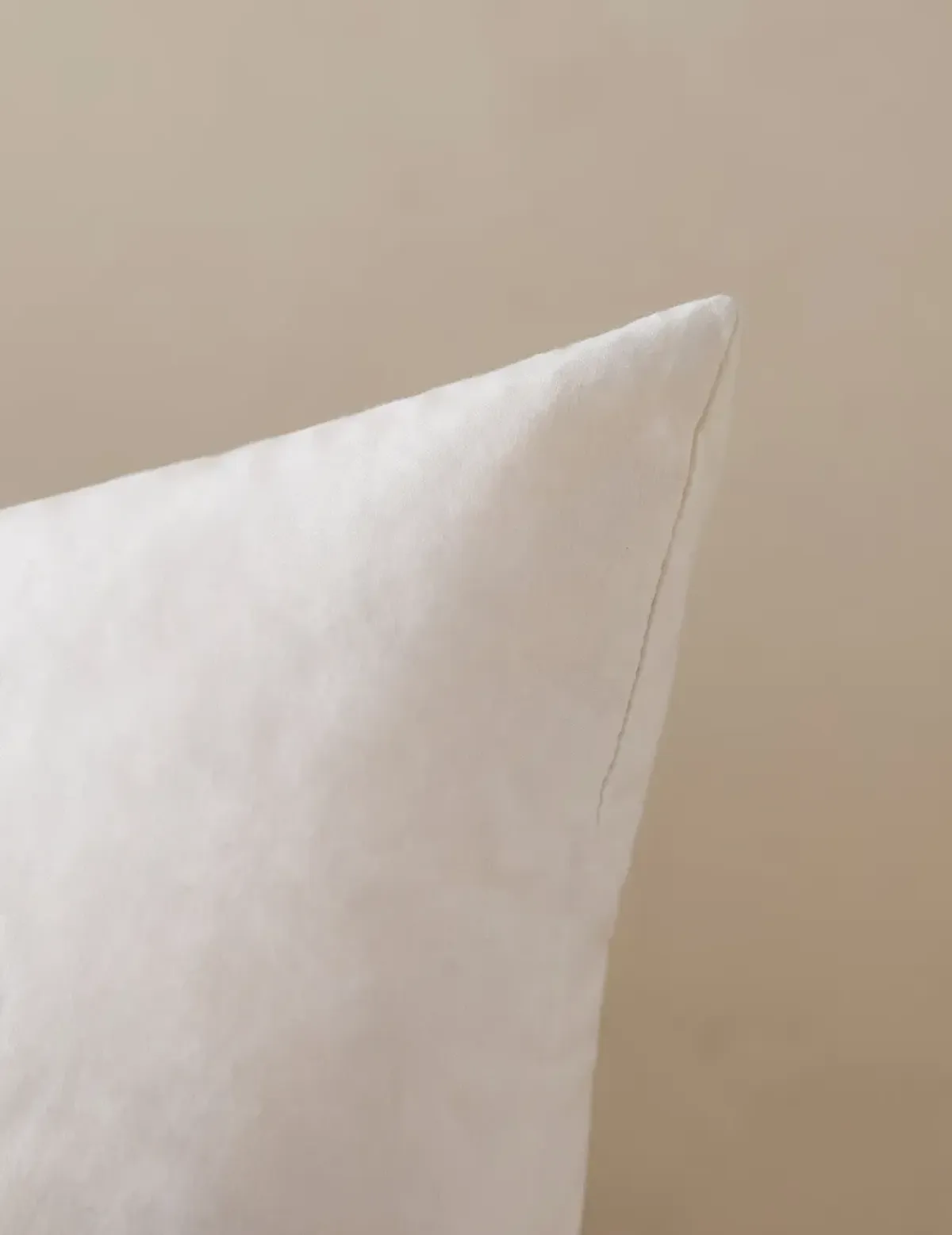 Feather Down Decorative Pillow Insert