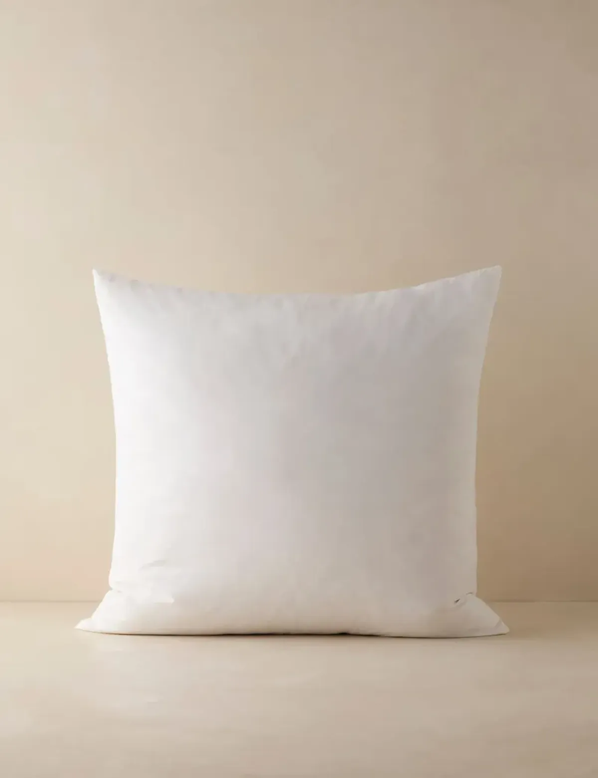 Feather Down Decorative Pillow Insert