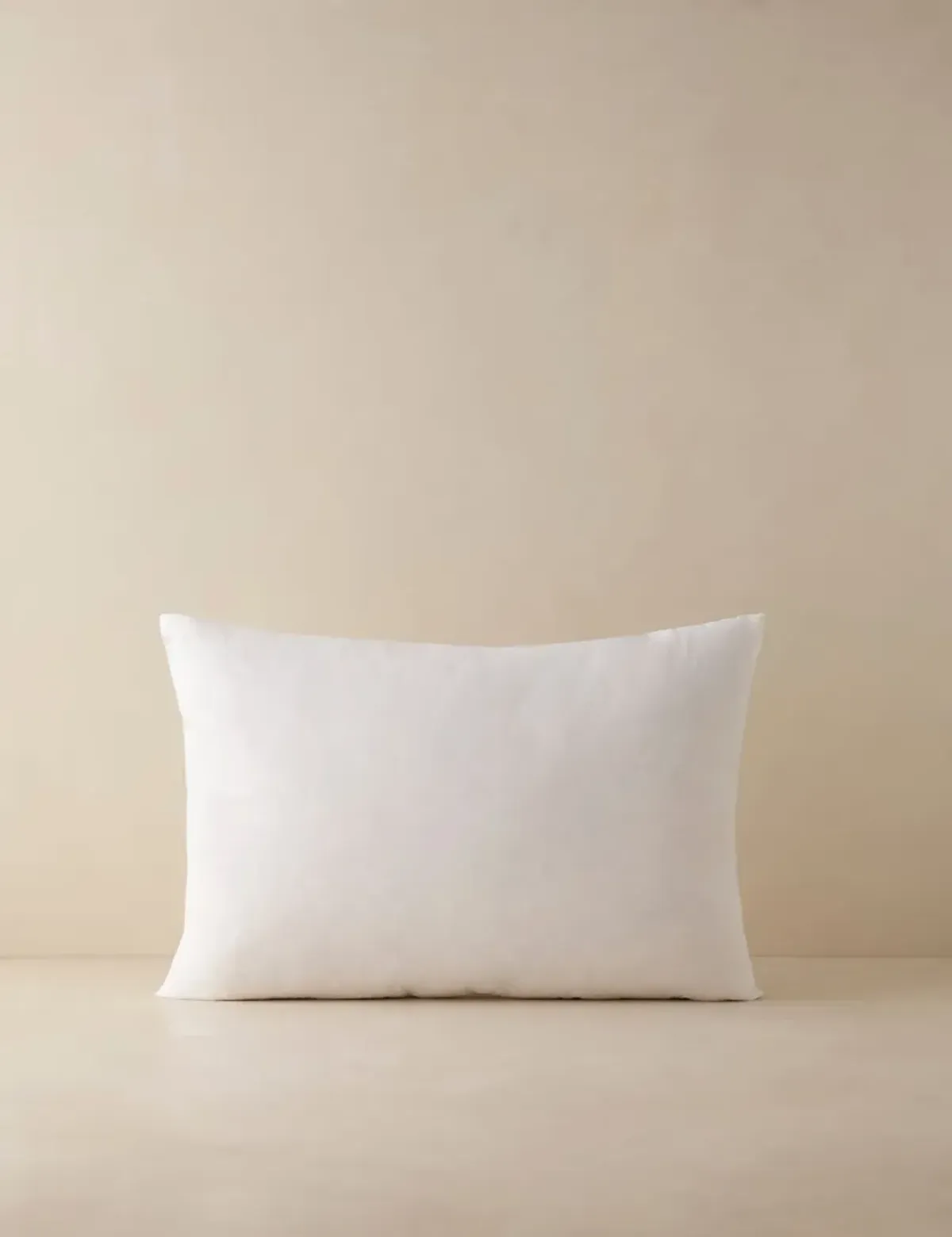Feather Down Decorative Pillow Insert