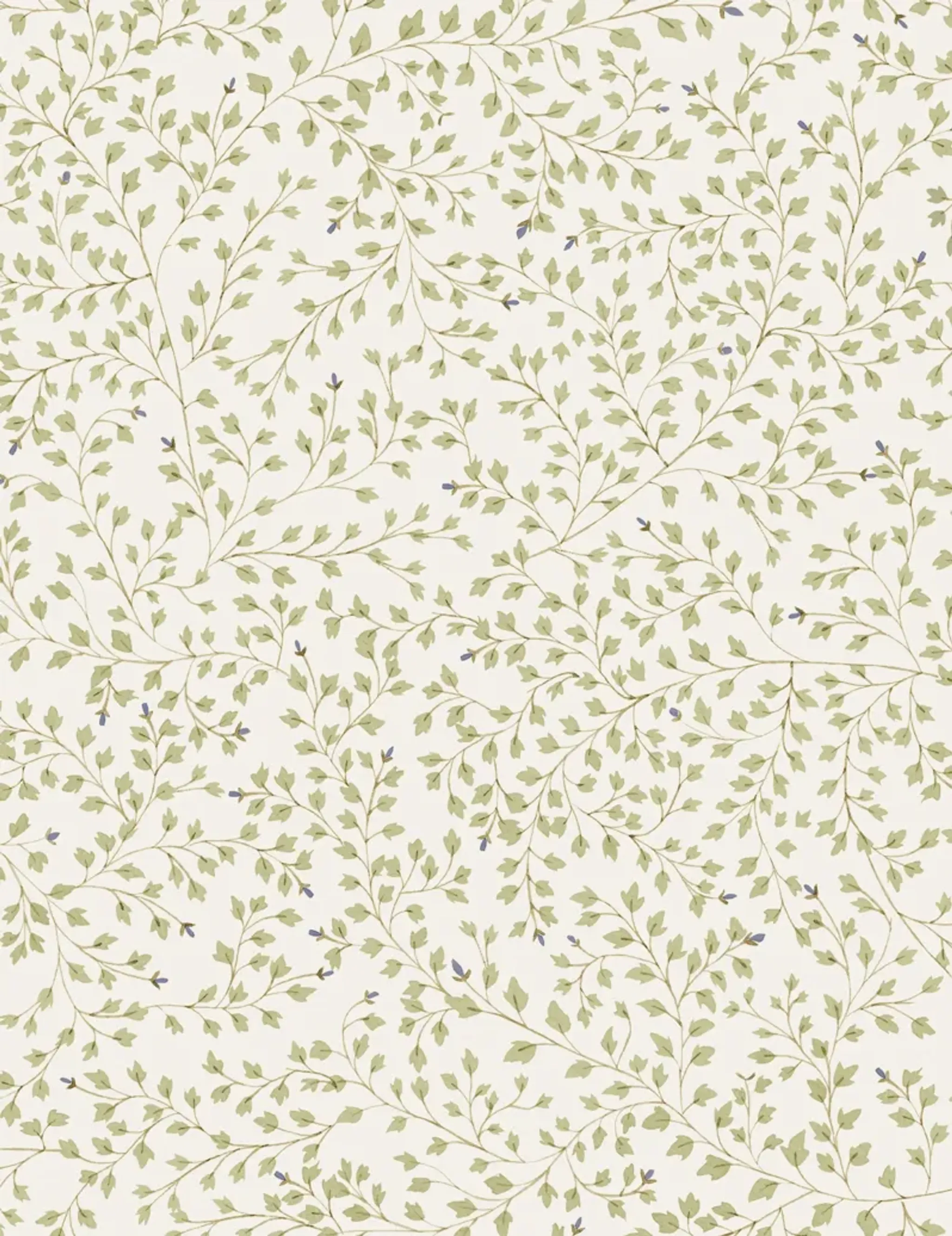 Dainty Leaves Wallpaper by Rylee + Cru | Furniture.com