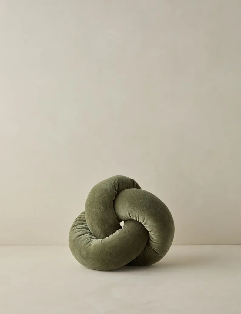 Dewey Velvet Pillow