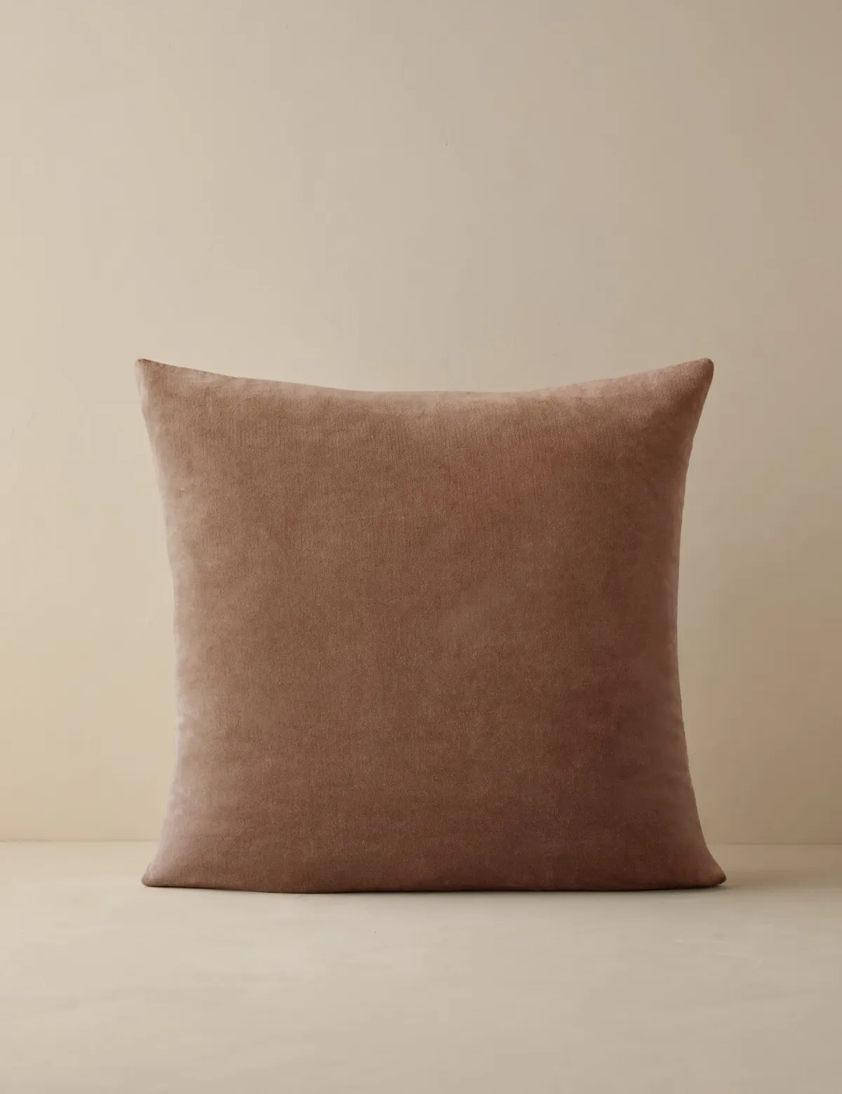 Charlotte Velvet Pillow