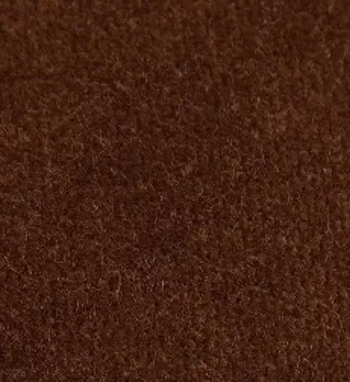 Charlotte Velvet Pillow