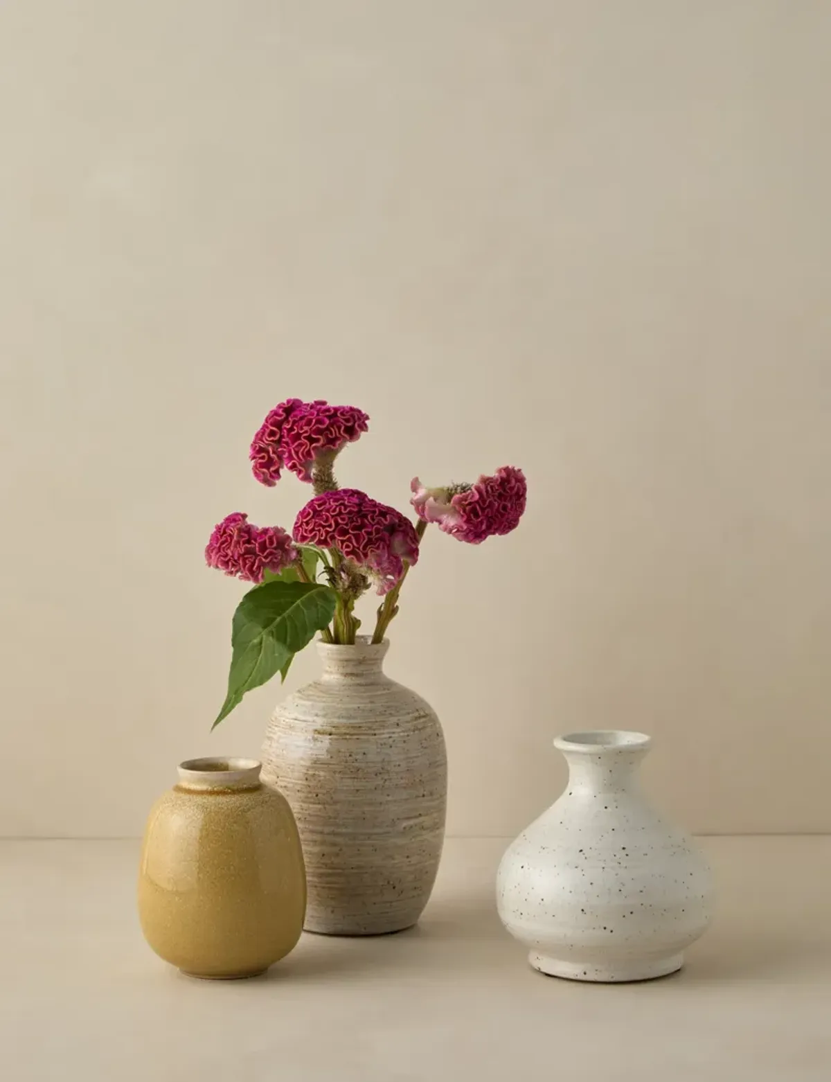 Bryony Vases (Set of 3)